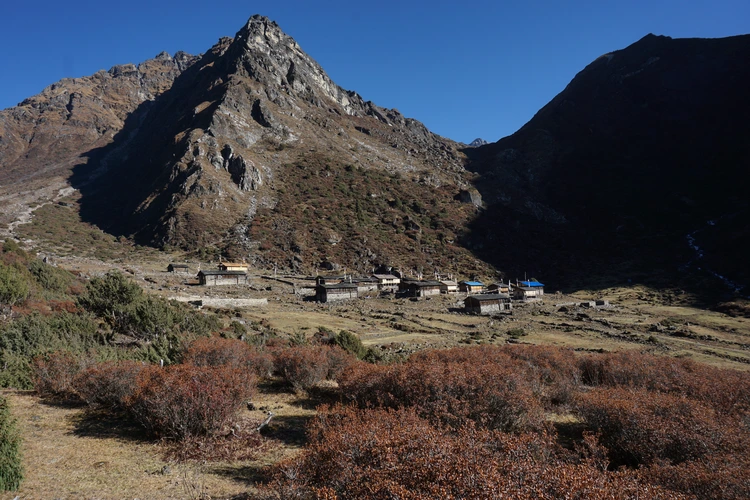 याङ्‌सी री